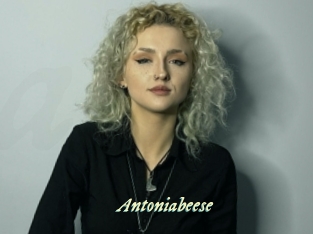 Antoniabeese