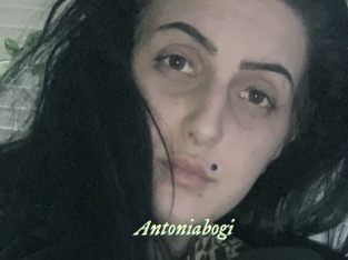 Antoniabogi