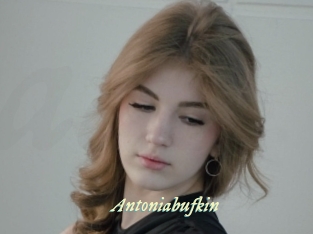 Antoniabufkin