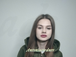 Antoniacordner
