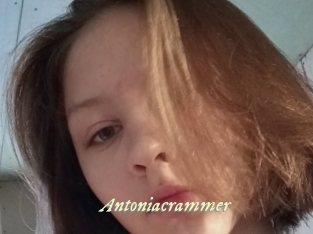 Antoniacrammer
