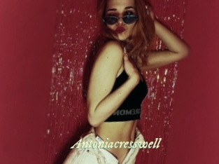 antoniacresswell Année du sexe