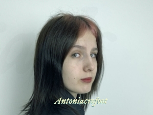 Antoniacrofoot