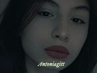 Antoniagitt