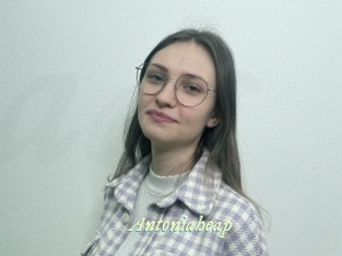 Antoniaheap