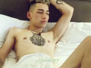 Apolosboyy