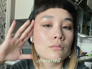 aracarvell Année du sexe