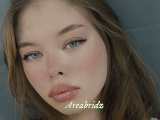 Areabridz