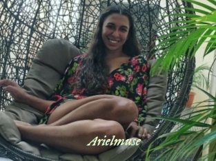 Arielmuse