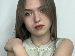 Arleighbodge