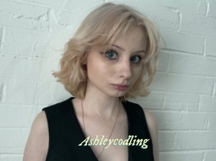 Ashleycodling