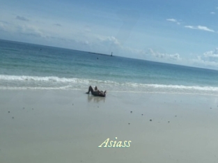 Asiass