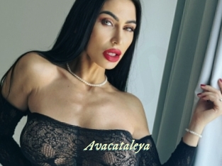Avacataleya