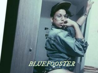 BLUEFOOSTER Année du sexe