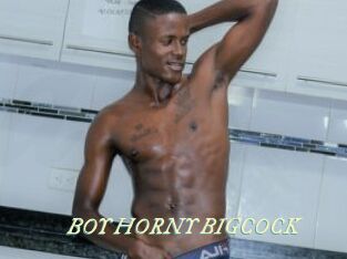 BOY_HORNY_BIGCOCK