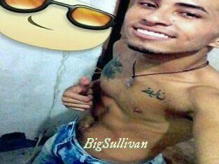 BigSullivan Année du sexe