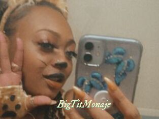 BigTitMonaje