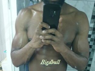 Bigdbull