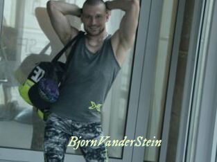 BjornVanderStein