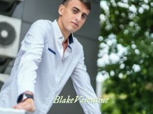 BlakeValentine Année du sexe