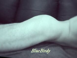 BlueBirdy