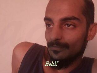 BobX