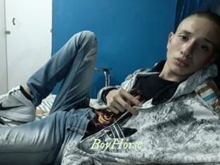 BoyHorse