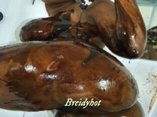Breidyhot