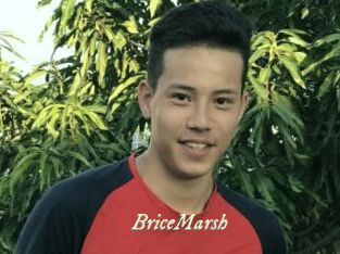 BriceMarsh Année du sexe