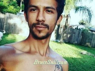 Bruce_Sullivan Année du sexe