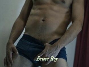 Bruce_Roy Année du sexe