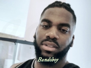 bandoboy Année du sexe