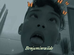 Benjaminwilde