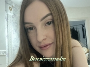 berenicecarradin Année du sexe