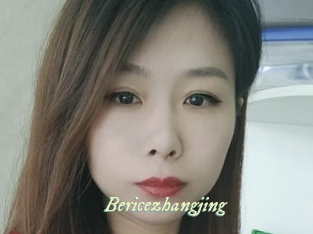 Bericezhangjing