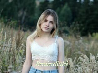 Berniecelittleb