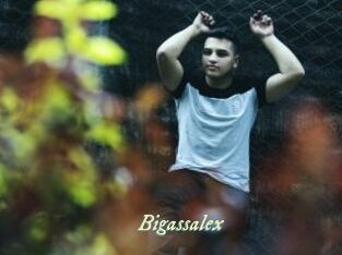 Bigassalex