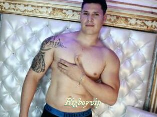 Bigboyvip