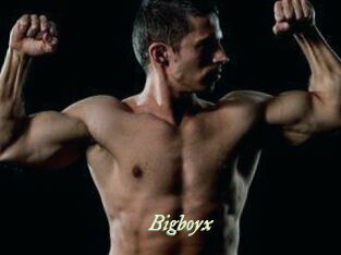 Bigboyx