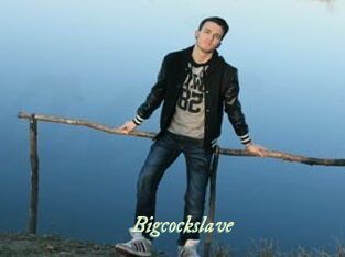 Bigcockslave