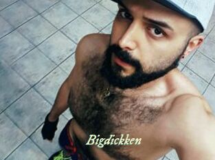 Bigdickken