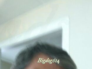 Bigdog614