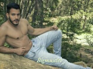 Bigmusclet