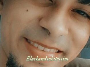 Blackandwhite11inc