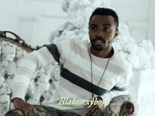 Blakesexyboy