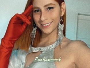 boahancoock Année du sexe