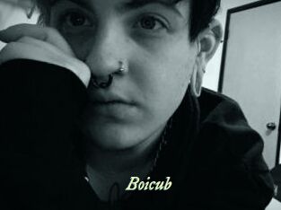 Boicub