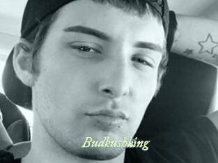 Budkushking