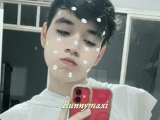 Bunnymaxi