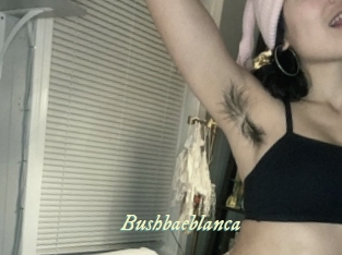 Bushbaeblanca